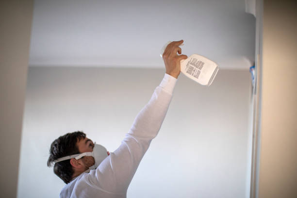 Best Mold Testing  in East Greenville, PA