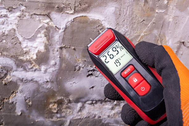Best Mold Remediation  in East Greenville, PA