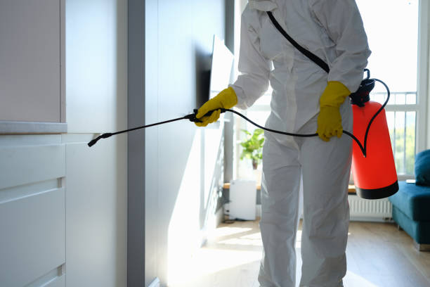 Best Toxic Mold Removal  in East Greenville, PA