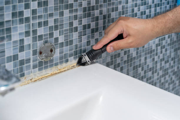 Best Mold Damage Repair  in East Greenville, PA