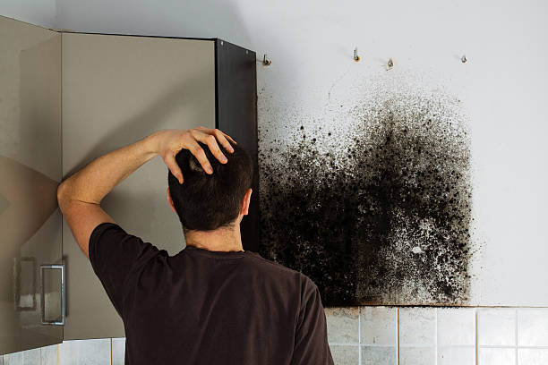 Best Residential Mold Removal  in East Greenville, PA